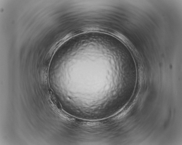 X0000057100857200509231714