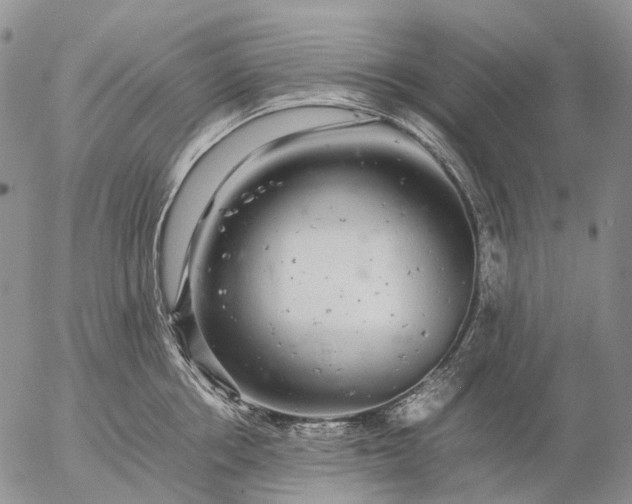 X0000057100858200509231714