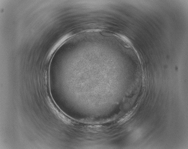 X0000057100859200509231714