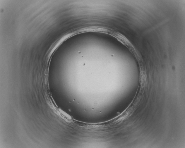 X0000057100860200509231714