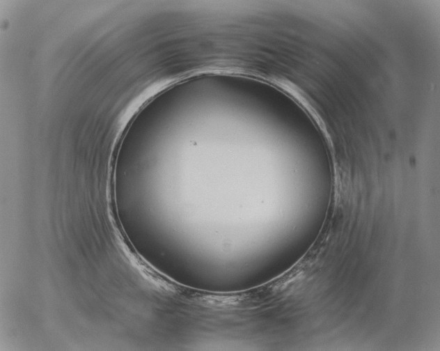 X0000057100861200509231714