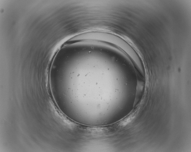 X0000057100862200509231714