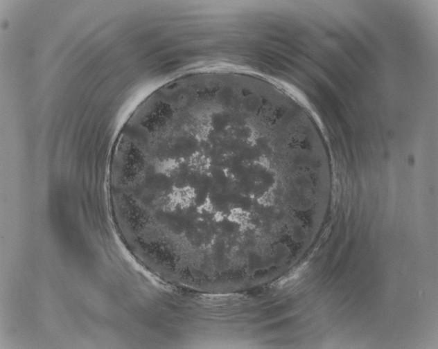 X0000057100863200509231714