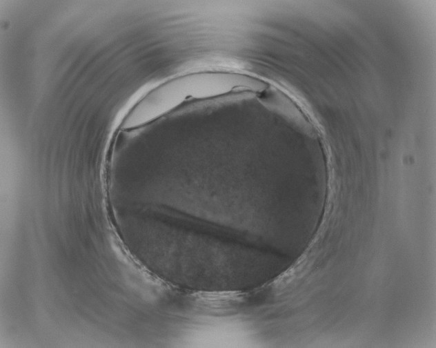 X0000057100864200509231714