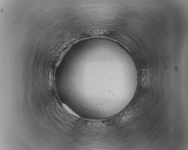 X0000057100866200509231713