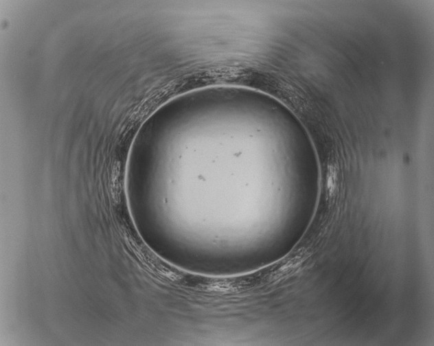 X0000057100867200509231713