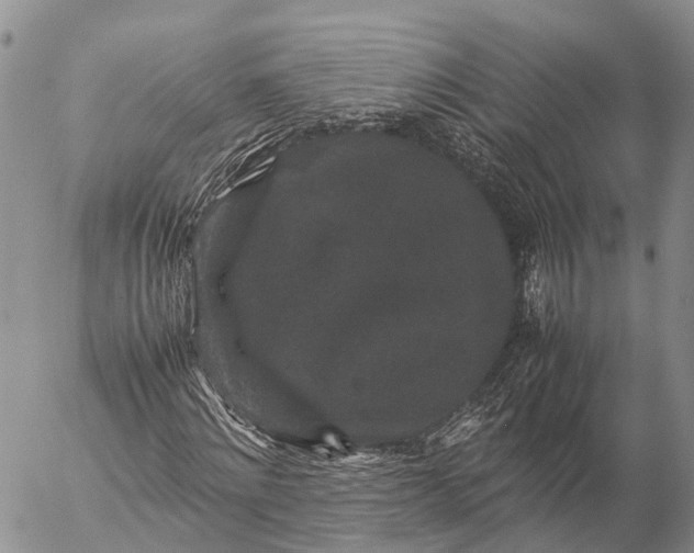 X0000057100868200509231713