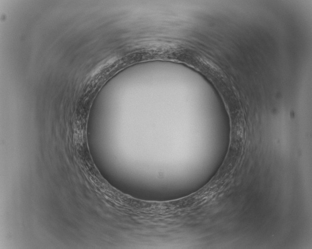 X0000057100869200509231713