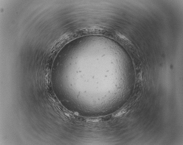 X0000057100870200509231713