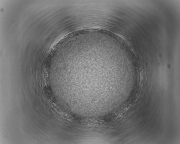 X0000057100871200509231713