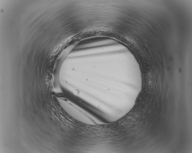 X0000057100872200509231713