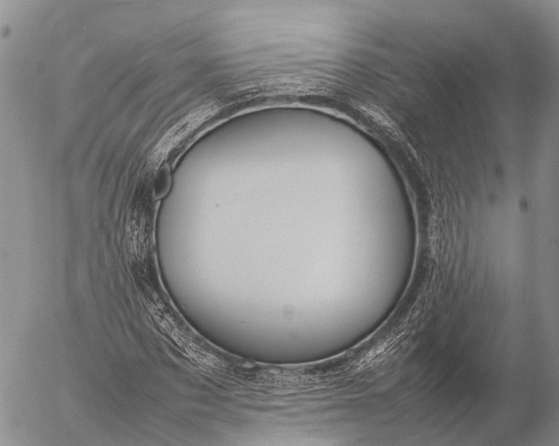 X0000057100873200509231713