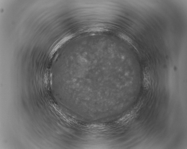 X0000057100874200509231713