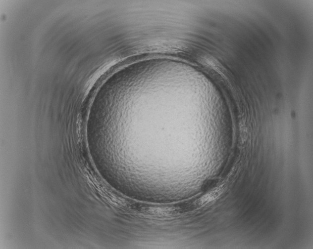 X0000057100875200509231713