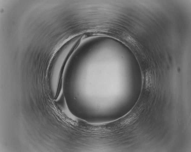 X0000057100876200509231713