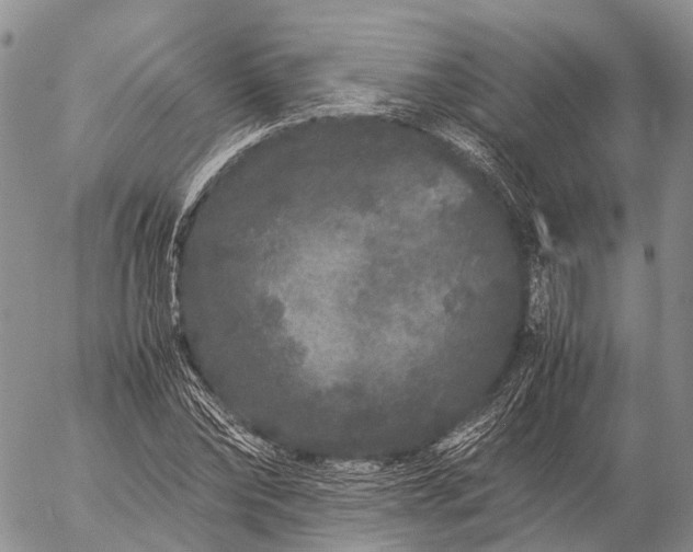 X0000057100878200509231713