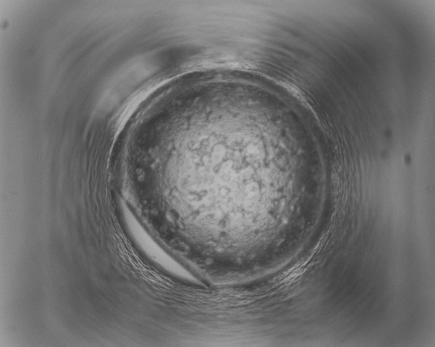 X0000057100879200509231713