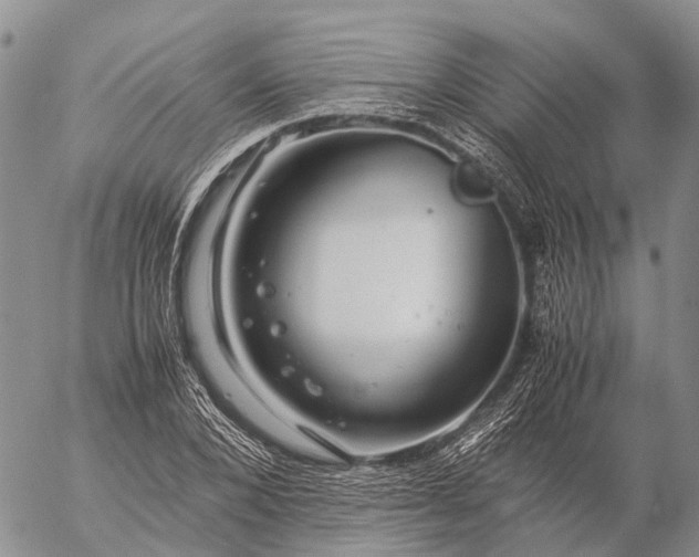 X0000057100880200509231713