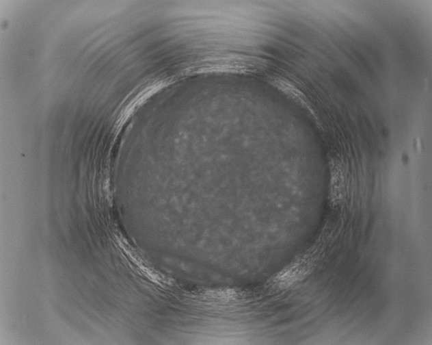 X0000057100882200509231713