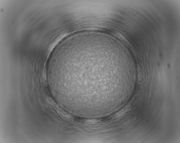 X0000057100883200509231713