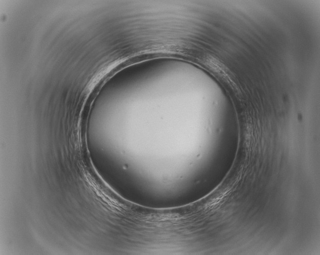 X0000057100884200509231713