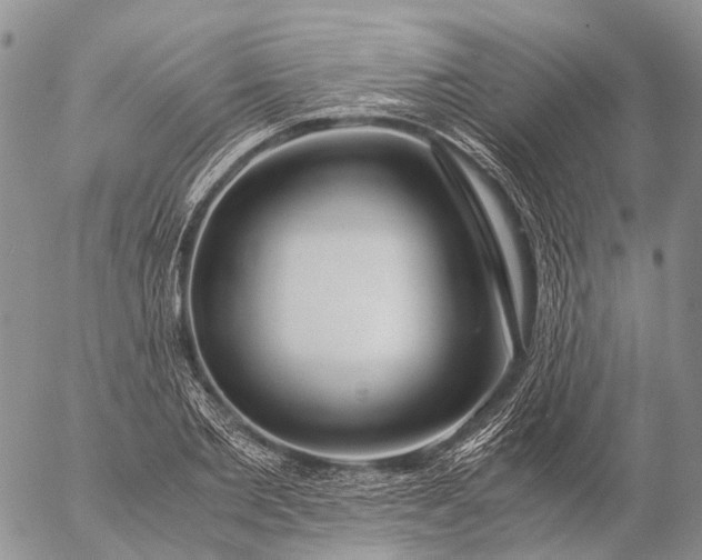 X0000057100885200509231713