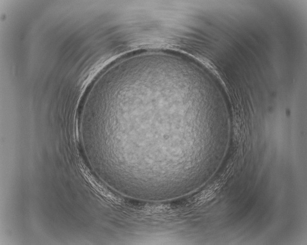 X0000057100887200509231713