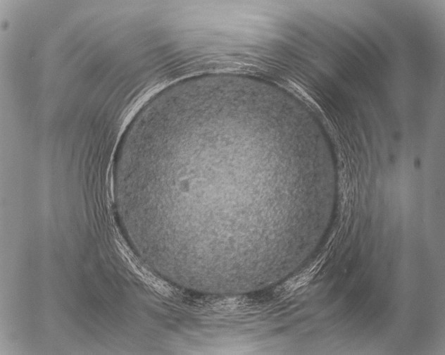 X0000057100891200509231713