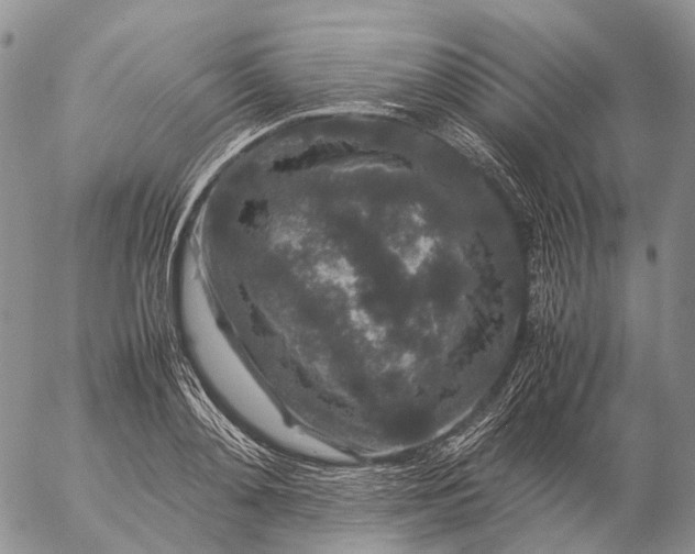 X0000057100892200509231713