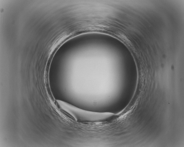 X0000057100893200509231713