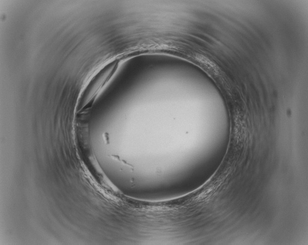 X0000057100894200509231713