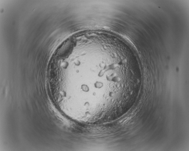 X0000057100895200509231713