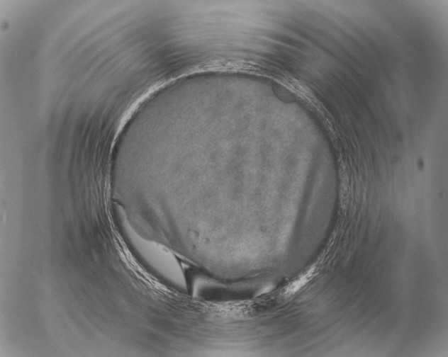 X0000057100896200509231713