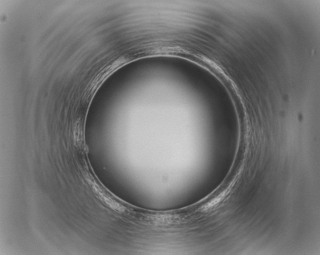 X0000057100897200509231713