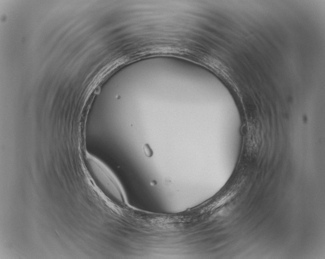 X0000057100898200509231713