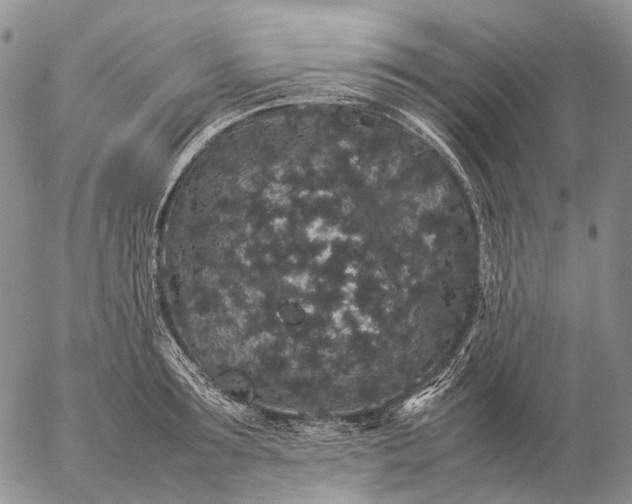 X0000057100899200509231713