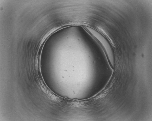 X0000057100900200509231713