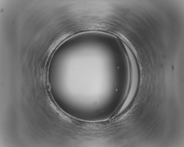 X0000057100901200509231713