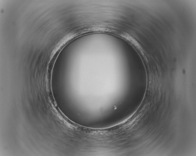 X0000057100902200509231713