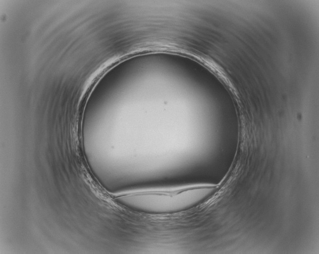 X0000057100904200509231713