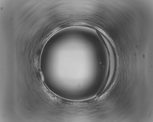 X0000057100905200509231712