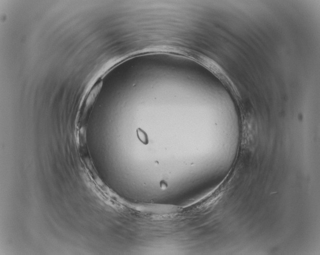 X0000057100908200509231712