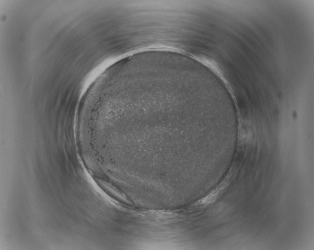 X0000057100910200509231712