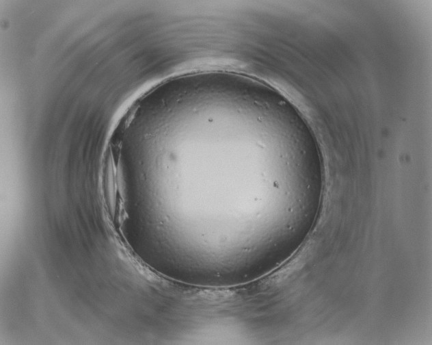 X0000057100912200509231712