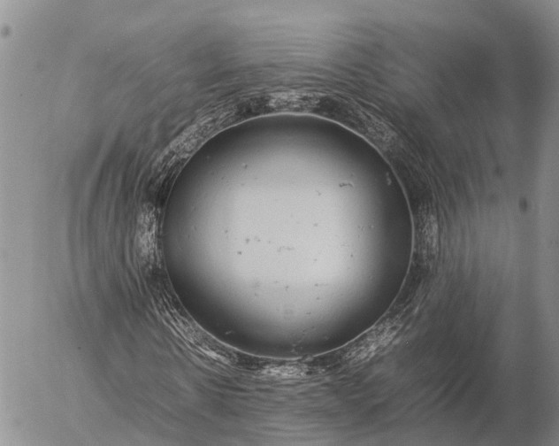 X0000057100914200509231712