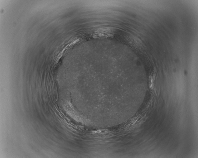 X0000057100915200509231712