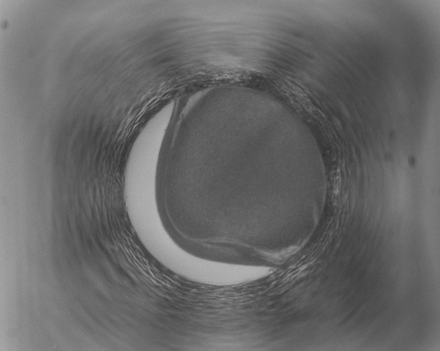 X0000057100916200509231712