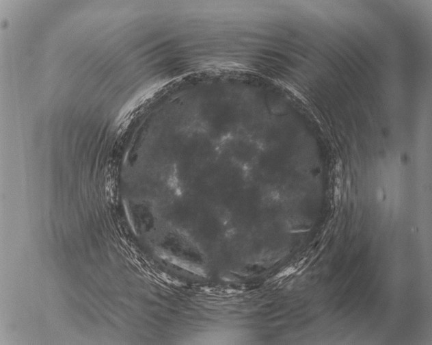 X0000057100919200509231712