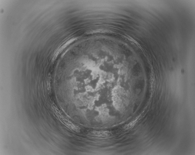 X0000057100921200509231712