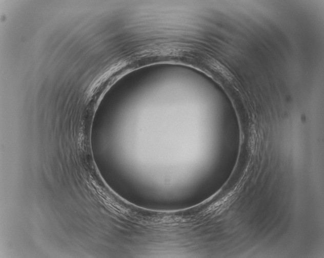 X0000057100922200509231712